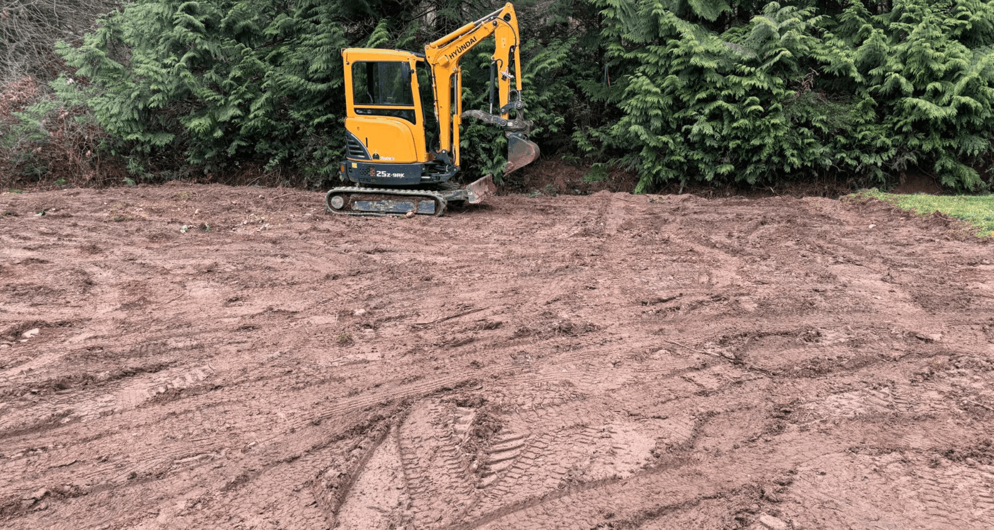 Mini excavator on a freshly cleared property. Land clearing on Vancouver Island