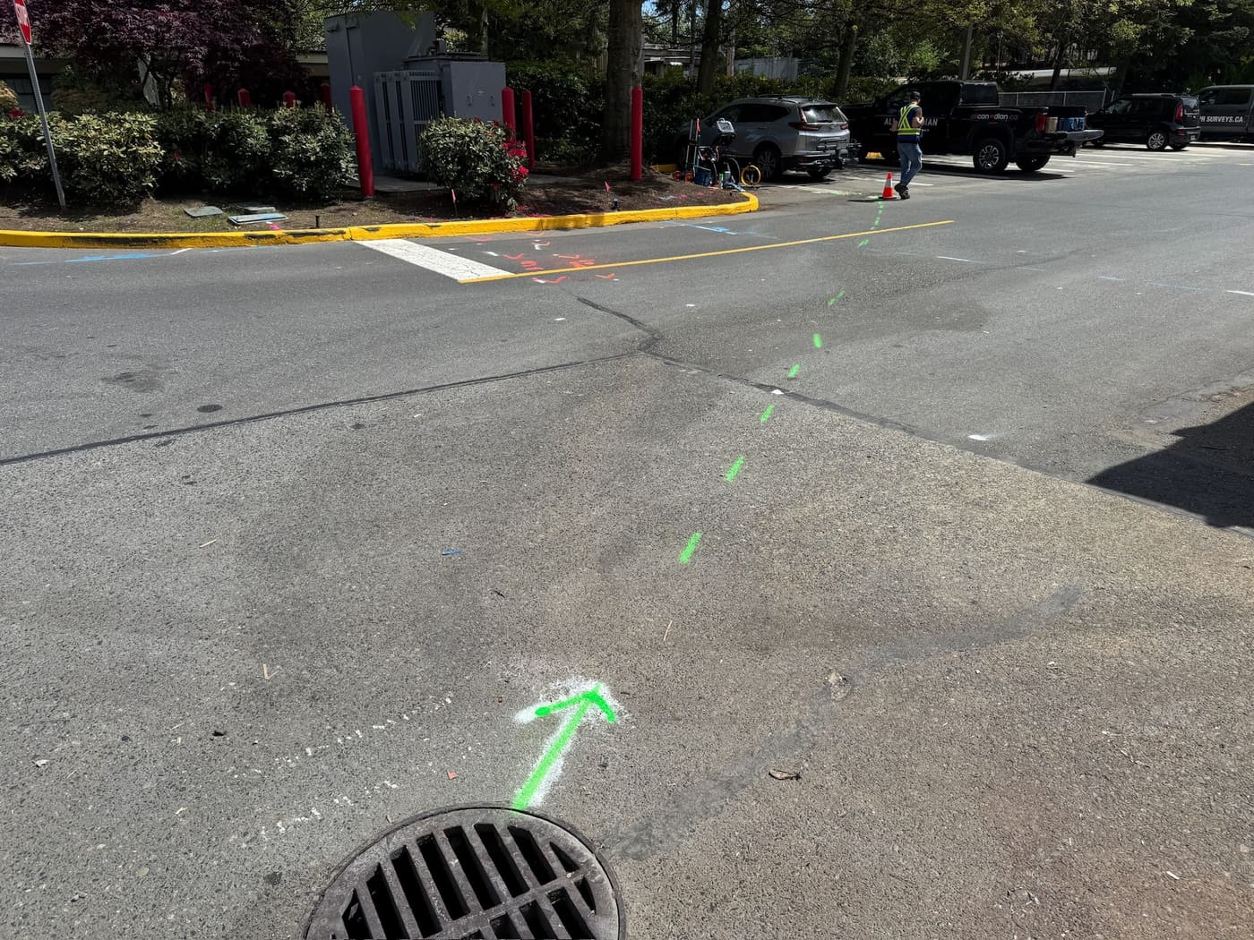 Chalk markings showing located utilities on a recent Parksville job
