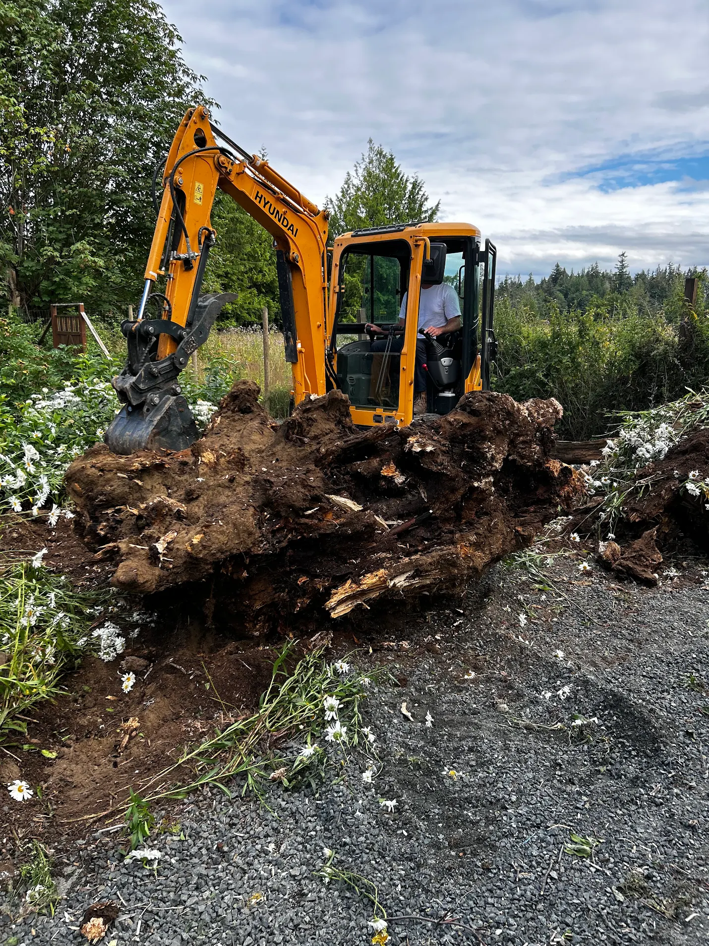 Rental bin loaded with fall storm debris and deadfall on Central Vancouver Island